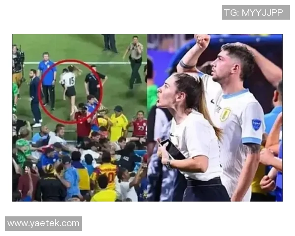 乌拉圭足球球星太太背后的故事与成就揭秘