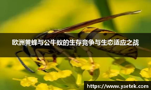 BG大游